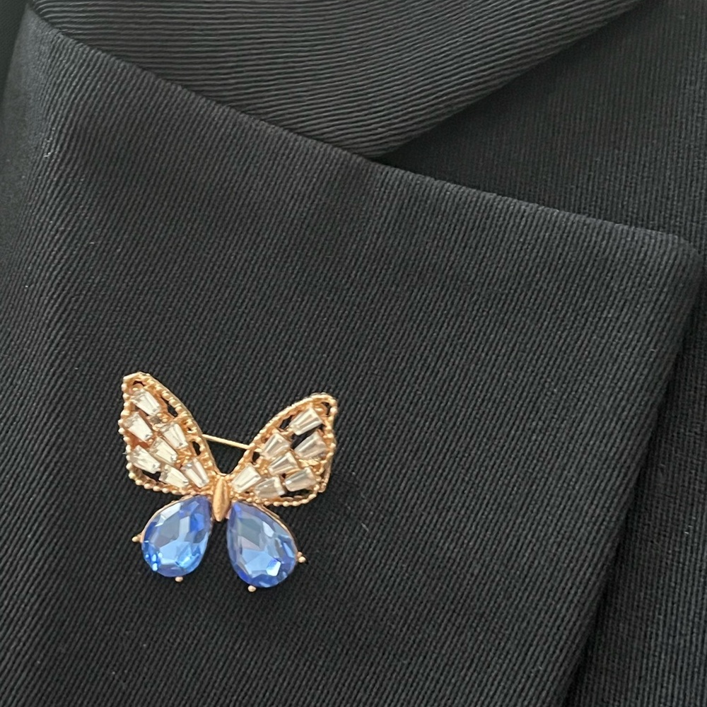 Fashion Trend 2024-2025.  Butterfly Brooch